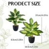 P-87213236507734-20260405141947.webp Unyqoos® Set van twee levensechte kunstplanten voor diverse interieurstijlen