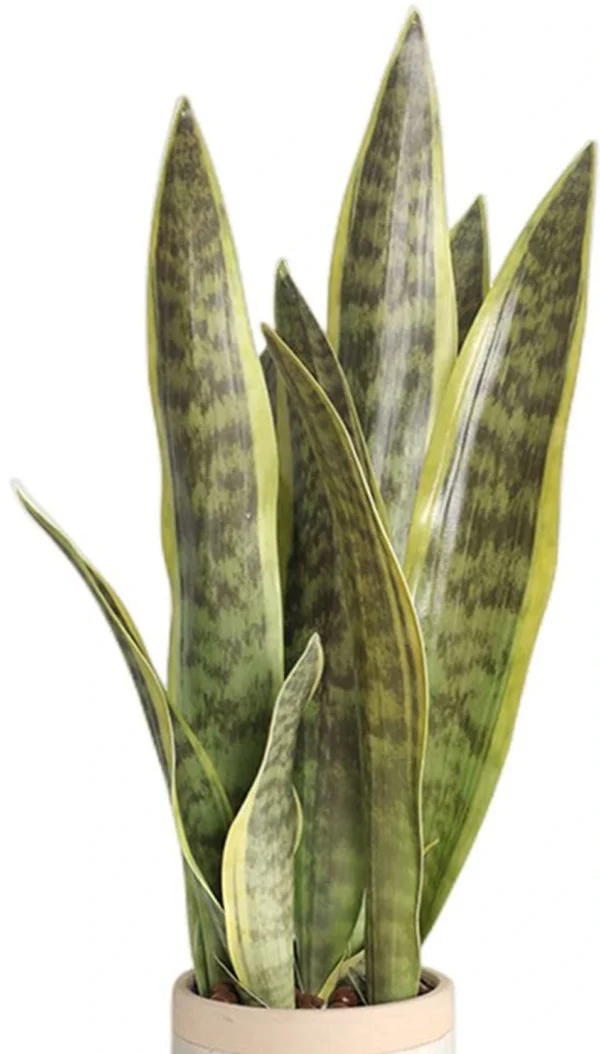 P-87213236520670-20260405142020.webp Unyqoos® Set van drie kunstplanten Sansevieria voor interieurdecoratie thuis en op kantoor