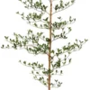 Unyqoos® Kunstplant van 150 cm met natuurlijk ogende houten stam en 273 bladeren voor binnen en buiten