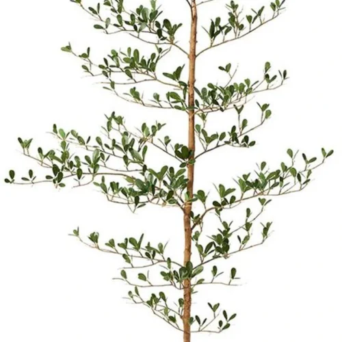 Unyqoos® Kunstplant van 150 cm met natuurlijk ogende houten stam en 273 bladeren voor binnen en buiten
