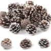 Unyqoos® Set van 32 natuurlijke mini-dennenappels met sneeuwlook voor decoratie
