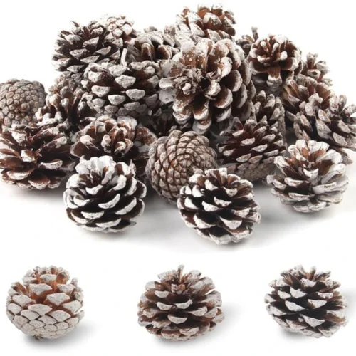 P-87213236602390-20260406093804.webp Unyqoos® Set van 32 natuurlijke mini-dennenappels met sneeuwlook voor decoratie