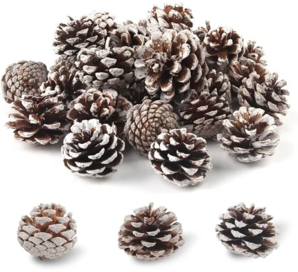 Unyqoos® Set van 32 natuurlijke mini-dennenappels met sneeuwlook voor decoratie