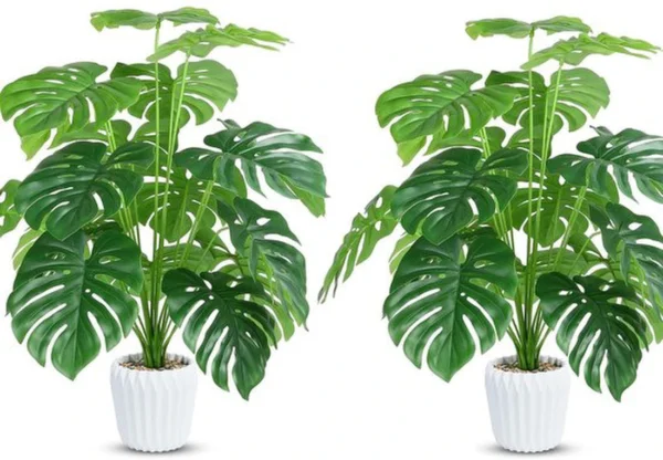 P-87213236831530-20260405135708.webp Unyqoos® Set van twee decoratieve kunstplanten Monstera met verstelbare bladeren en pot