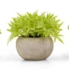 Unyqoos® Set van drie levensechte kunstplanten voor huis en kantoor decoratie