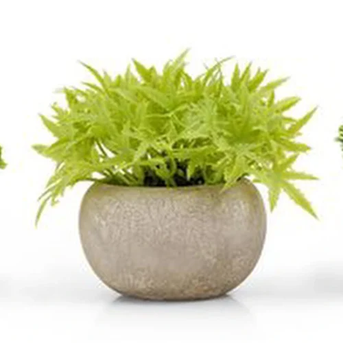 P-87213236838180-20260405135747.webp Unyqoos® Set van drie levensechte kunstplanten voor huis en kantoor decoratie