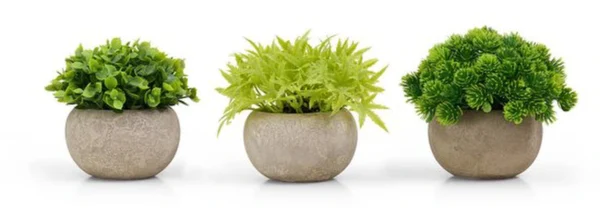 Unyqoos® Set van drie levensechte kunstplanten voor huis en kantoor decoratie