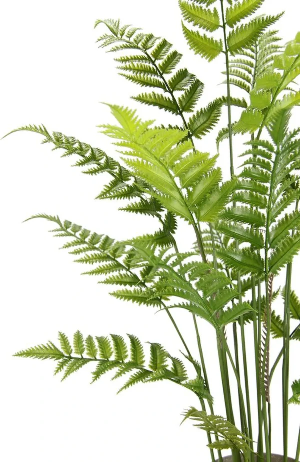P-87213236862080-20260405135832.webp Unyqoos® Natuurgetrouwe kunstvaren in pot voor stijlvolle groene decoratie, groente, 90cm