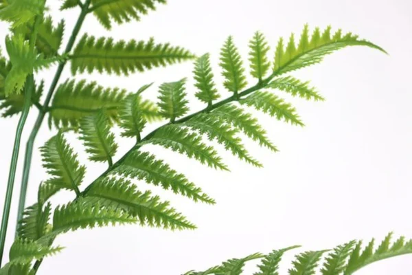 P-87213236862081-20260405135855.webp Unyqoos® Natuurgetrouwe kunstvaren in pot voor stijlvolle groene decoratie, groente, 90cm