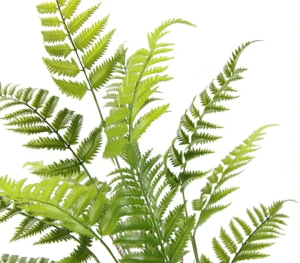 P-87213236862083-20260405135910.webp Unyqoos® Natuurgetrouwe kunstvaren in pot voor stijlvolle groene decoratie, groente, 90cm