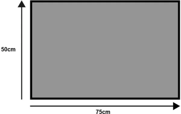 Unyqoos® Wasbare antracietgrijze deurmat voor binnen en buiten van 50x75 cm