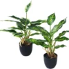 P-87213236936400-20260405140110.webp Unyqoos® Set van twee kunstplanten in pot voor decoratie thuis of op kantoor