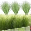 P-87213236965040-20260405140248.webp Unyqoos® Set van 24 decoratieve kunstplanten voor binnen en buiten, UV-bestendig