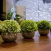 P-87213237150761-20260405140838.webp Unyqoos® Set van drie kunstplanten in grijze pot voor veelzijdige interieurdecoratie