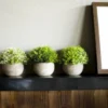 P-87213237150764-20260405140848.webp Unyqoos® Set van drie kunstplanten in grijze pot voor veelzijdige interieurdecoratie