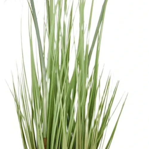 Unyqoos® Elegante kunstgrasstruik met Protea bloemen voor binnen- en buitendecoratie
