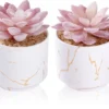 P-87213237224320-20260405141123.webp Unyqoos® Set van twee decoratieve kunstvetplanten in stijlvolle keramische potten
