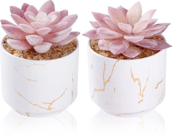 P-87213237224320-20260405141123.webp Unyqoos® Set van twee decoratieve kunstvetplanten in stijlvolle keramische potten