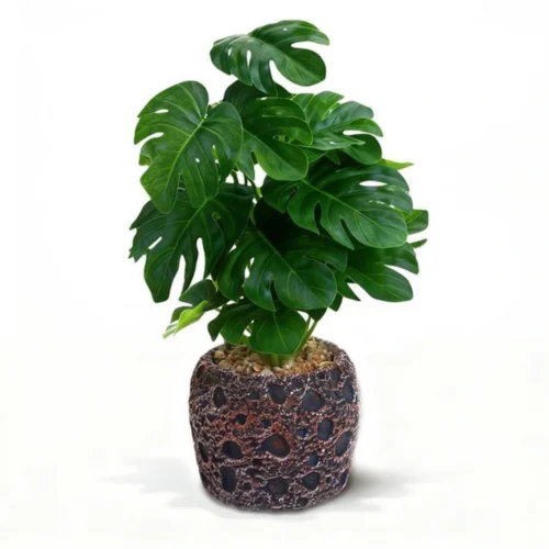 Unyqoos® Decoratieve kunstplant Monstera met stenen pot voor huisdecoratie
