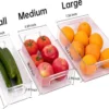 P-87213237414955-20260406095444.webp Unyqoos® Transparante en stapelbare opbergcontainers met handgrepen voor keuken en koelkast