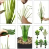 Unyqoos® Levensechte Monstera Kunstplant in Pot voor Binnen- en Buitendecoratie
