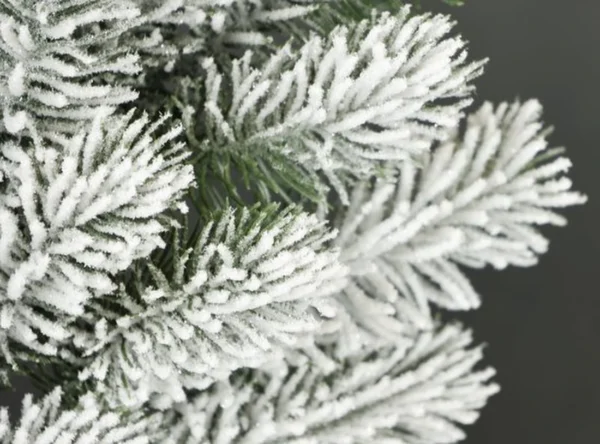 P-87213237538630-20260405142129.webp Unyqoos® Winterse decoratieve krans met sneeuwlook en handige ophanglus, 25 cm