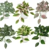 P-87213237547780-20260405142200.webp Unyqoos® Set van zes decoratieve kunstplanten voor elke ruimte in huis, 20 cm, 6 stuks
