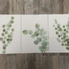 Unyqoos® Set van drie botanische posters met eucalyptusmotief voor interieurdecoratie, groente
