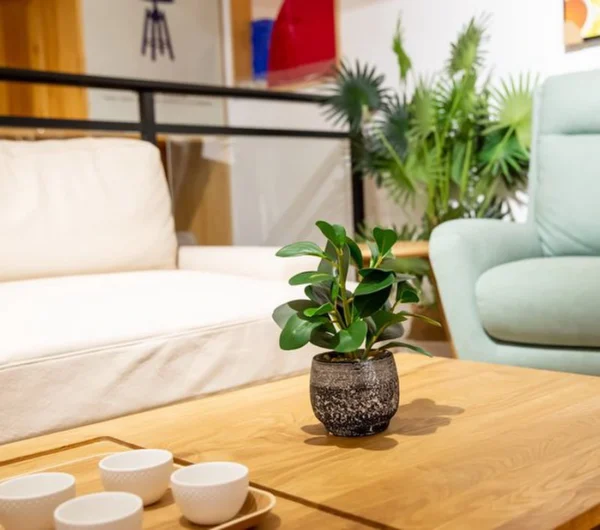 Unyqoos® Decoratieve groene plant in stevige pot voor binnen en overdekte buitenruimtes