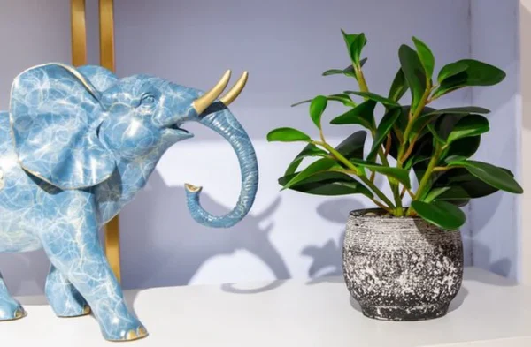 Unyqoos® Decoratieve groene plant in stevige pot voor binnen en overdekte buitenruimtes