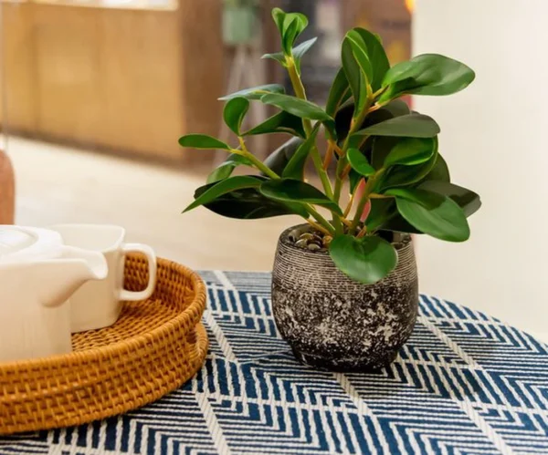Unyqoos® Decoratieve groene plant in stevige pot voor binnen en overdekte buitenruimtes