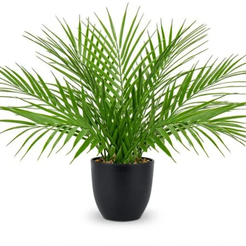 Unyqoos® Decoratieve kunstpalm in pot voor elke interieurstijl en ruimte