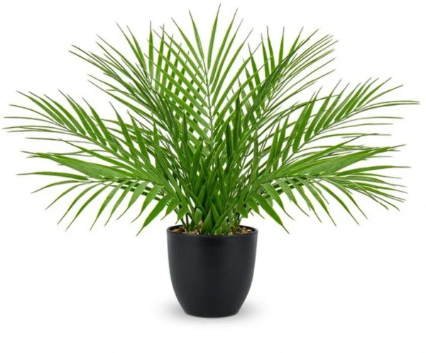 Unyqoos® Decoratieve kunstpalm in pot voor elke interieurstijl en ruimte