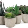 P-87213238903460-20260405142125.webp Unyqoos® Set van 6 decoratieve kunstplanten in stijlvolle potten voor elk interieur