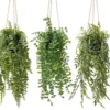 Unyqoos® Set van drie hangende kunstplanten voor stijlvolle binnen- en buitendecoratie