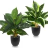 P-87213239074950-20260405142307.webp Unyqoos® Set van twee levensechte kunstplanten in pot voor huis en kantoor