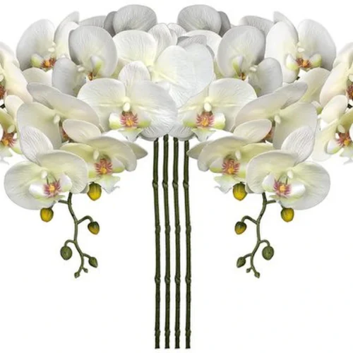 P-87213239224050-20260405142332.webp Unyqoos® Set van vier natuurgetrouwe kunsttakken met witte orchideebloemen