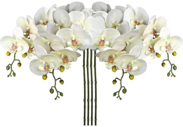 P-87213239224050-20260405142332.webp Unyqoos® Set van vier natuurgetrouwe kunsttakken met witte orchideebloemen