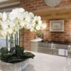 P-87213239224051-20260405142337.webp Unyqoos® Set van vier natuurgetrouwe kunsttakken met witte orchideebloemen