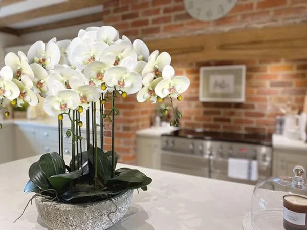 P-87213239224051-20260405142337.webp Unyqoos® Set van vier natuurgetrouwe kunsttakken met witte orchideebloemen