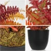 Unyqoos® Decoratieve kunstvaren in zwarte pot voor binnen en buiten gebruik