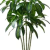 Unyqoos® Realistische kunstboom met stijlvolle witte plantenbak voor elk interieur