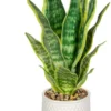 Unyqoos® Decoratieve kunstplant Sansevieria in stijlvolle keramische pot voor elke ruimte