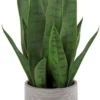Unyqoos® Levensechte decoratieve kunstplant Sanseveria in cementpot voor interieur