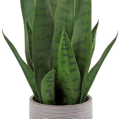 Unyqoos® Levensechte decoratieve kunstplant Sanseveria in cementpot voor interieur