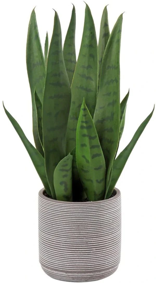 Unyqoos® Levensechte decoratieve kunstplant Sanseveria in cementpot voor interieur