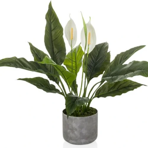 Unyqoos® Groenblijvende kunstplant met witte bloemen voor binnen en buiten decoratie