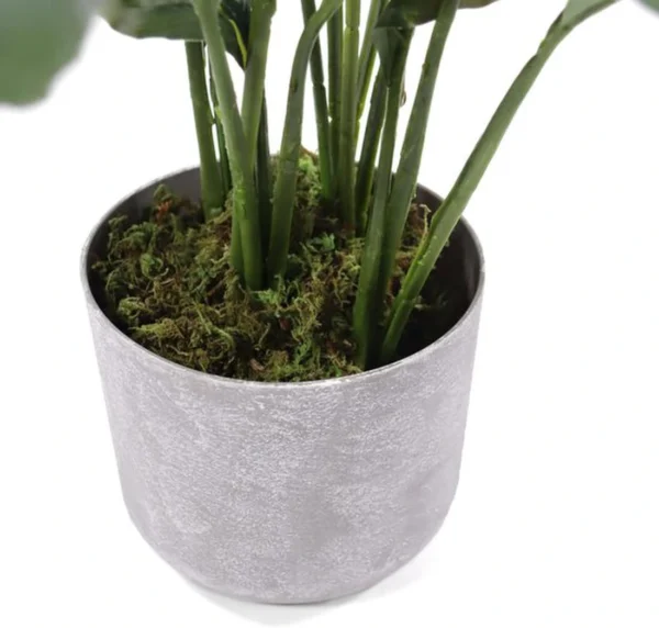 Unyqoos® Groenblijvende kunstplant met witte bloemen voor binnen en buiten decoratie