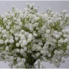 P-87213585295017-20260405141846.webp Unyqoos® Set van 12 Witte Kunstbloemen voor Decoratie en Bloemstukken
