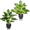 Unyqoos® Set van twee levensechte kunstplanten voor kleurrijke decoratie in huis
